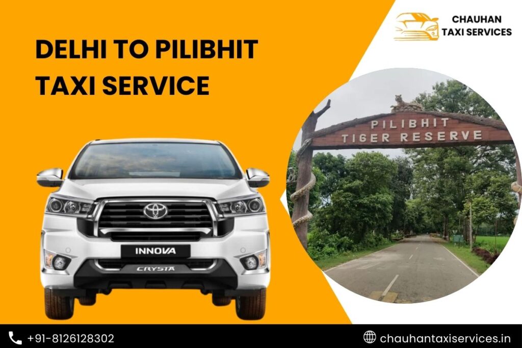 Delhi to Pilibhit Taxi Service