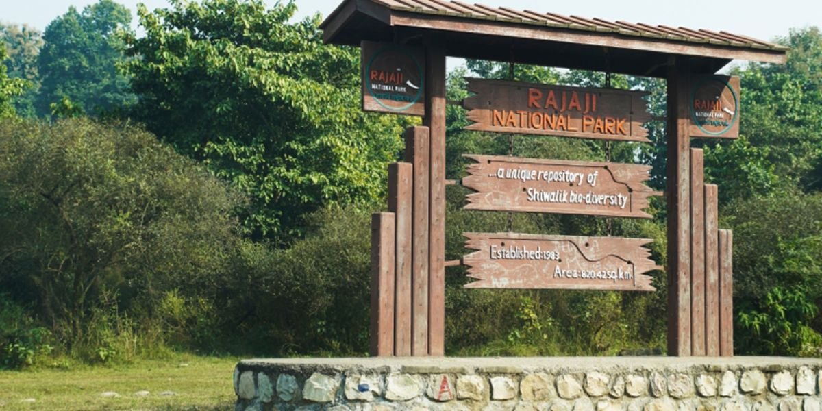 Rajaji National Park near Haridwar